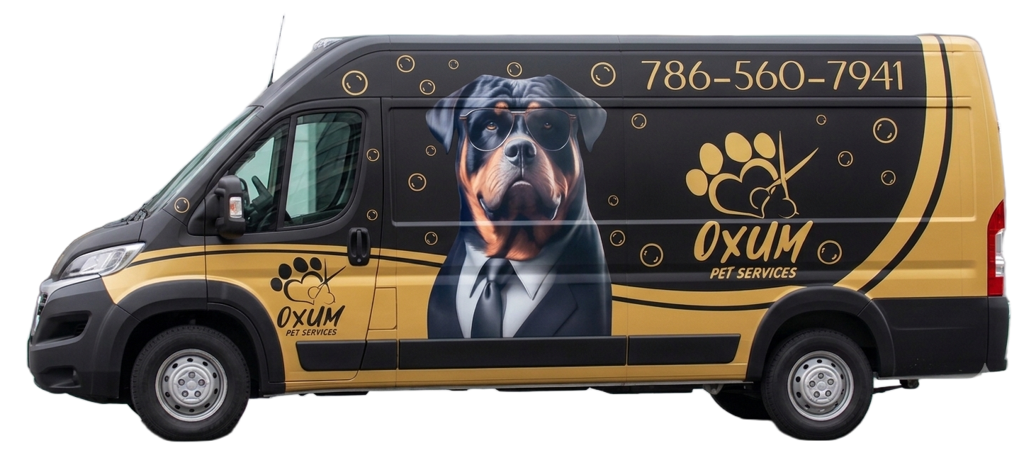 Oxum Elite Mobile Spa Van
